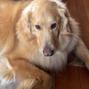 Meet your Posher, Gracyn